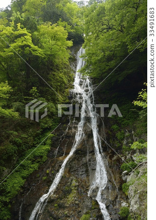 Marugami Falls / Chichibu(埼玉縣) Marugami Falls / Chichibu(埼玉縣) 33491683
