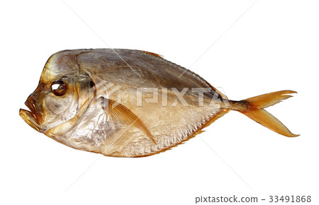 Smoked vomer Smoked vomer 33491868