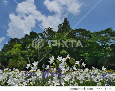 京都龜岡村 京都龜岡村 33491870