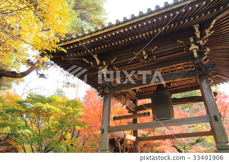 Higashi Souji Temple Autumn (Matsudo City, Chiba Prefecture) 33491906