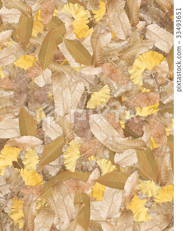 Background-Autumn-Fallen leaves Background-Autumn-Fallen leaves 33493651