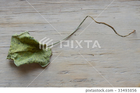 dry lotus leaf on wooden board dry lotus leaf on wooden board 33493856