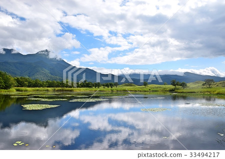 知床戈科 33494217