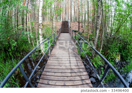 Suspension bridge in the park. Suspension bridge in the park. 33496400