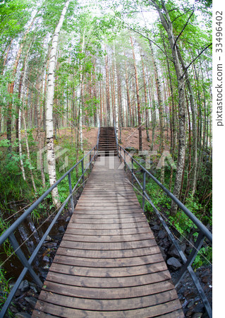 Suspension bridge in the park. Suspension bridge in the park. 33496402