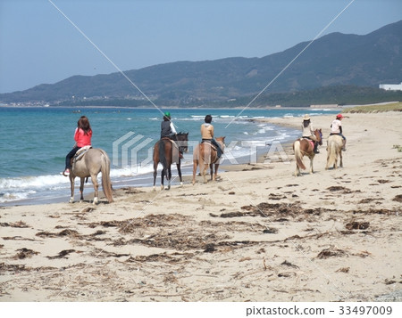 騎馬 騎馬 33497009