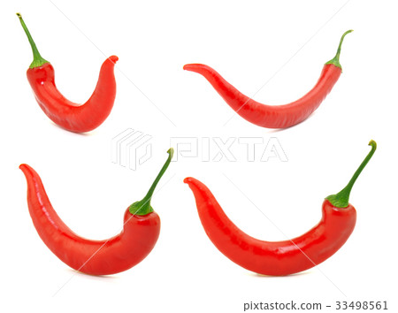 Chili pepper isolated on white background 33498561