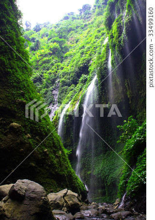 Madakaripura Waterfall, Indonesia 33499160