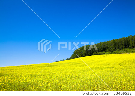 爬行者山 33499532