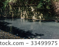 Subsoil Spring Fountain in Hydrogen Sulfide River 33499975