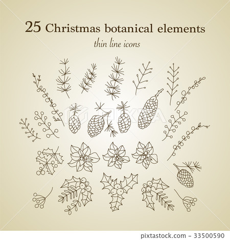 Set of 25 Christmas botanical symbols. 33500590