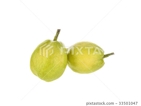 green pear on white background green pear on white background 33501047