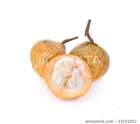 santol on white background 33501052