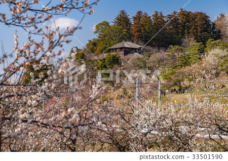 Mito Kairakuen的Kotobuki和Meirin 33501590