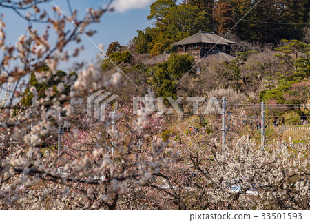 Mito Kairakuen的Kotobuki和Meirin 33501593