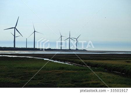 Taichung Takami Wetland 33501917