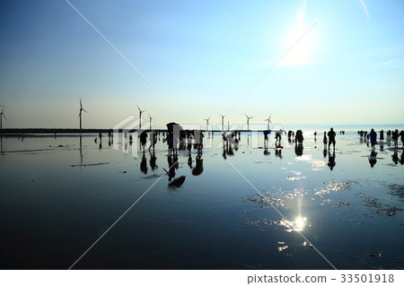 Taichung Takami Wetland Taichung Takami Wetland 33501918