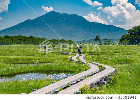 Ozegahara cottongrass community and Mt. 33501941