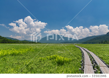 Ozegahara cottongrass社區和Mt. 33501946