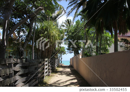 Lanikai 33502455
