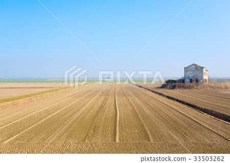 Rural Italian landscape from Po river lagoon. Rural Italian landscape from Po river lagoon. 33503262