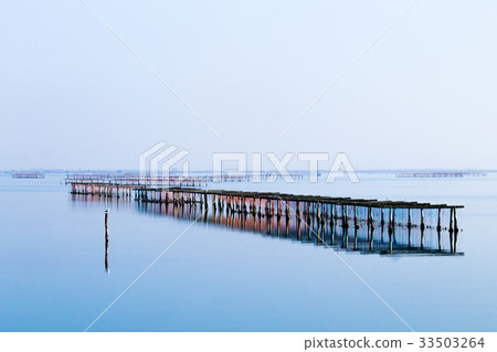 Shellfish farming from Po river lagoon, Italy Shellfish farming from Po river lagoon, Italy 33503264