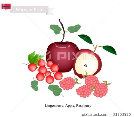 Lingonberry, Apple and Raspberry Lingonberry, Apple and Raspberry 33503550