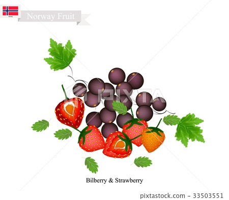 Bilberry and Strawberry Bilberry and Strawberry 33503551