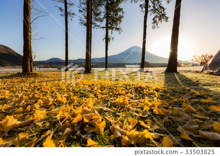 Mount Fuji Sunrise Mount Fuji Sunrise 33503825