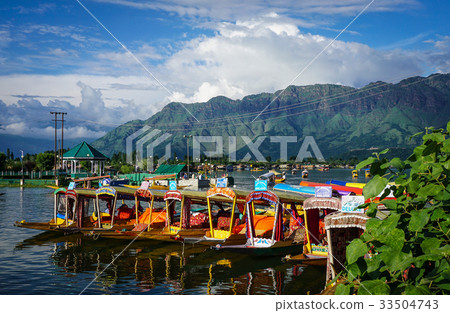 Landscape of Dal Lake in Srinagar, India 33504743