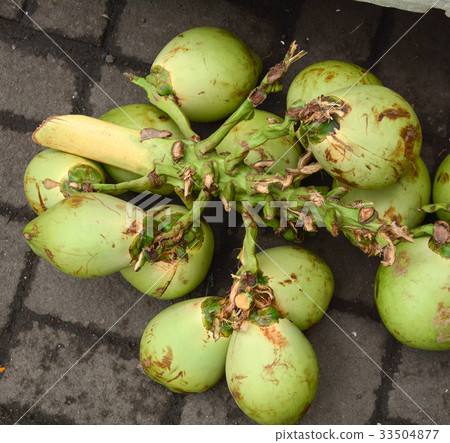 Fresh coconut fruits for sale 33504877