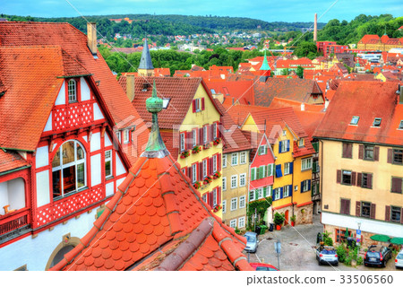 Typical houses in Tubingen - Baden Wurttemberg Typical houses in Tubingen - Baden Wurttemberg 33506560