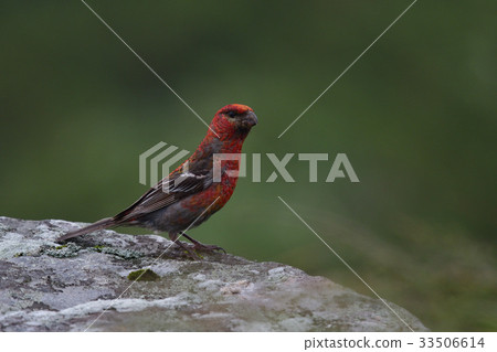 North Ginzan Mashiko 33506614