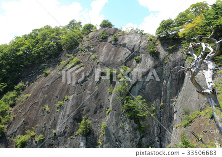 Iwadonosan兒童搬家 Iwadonosan兒童搬家 33506683