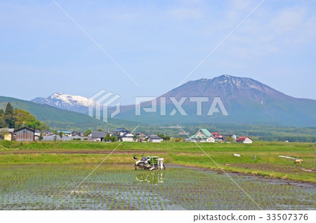 Shinanomachi和Kurohimeyama,水稻種植的新綠色季節 Shinanomachi和Kurohimeyama,水稻種植的新綠色季節 33507376