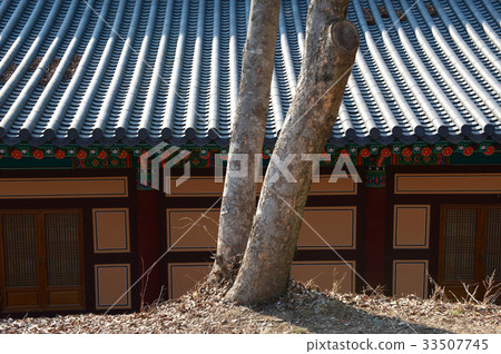 Suedeuk, Chungbuk, Chungnam Suedeuk, Chungbuk, Chungnam 33507745
