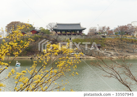 慶州市晉州市晉州城華城,華城 慶州市晉州市晉州城華城,華城 33507945