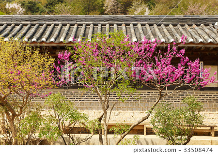 京畿道龍仁市龍仁民俗村 33508474