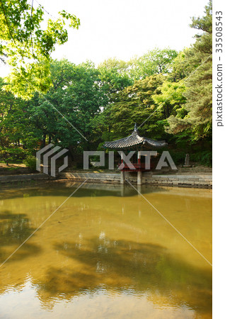 Biwon, Changdeokgung, Jongno-gu, Seoul Biwon, Changdeokgung, Jongno-gu, Seoul 33508543