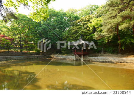 Biwon, Changdeokgung, Jongno-gu, Seoul 33508544