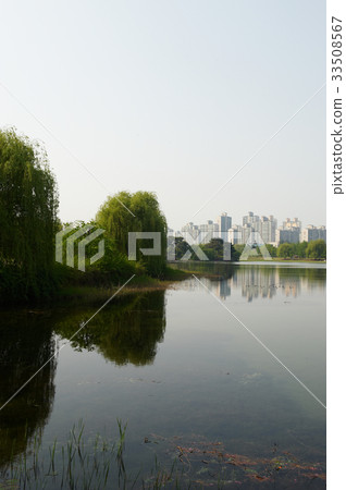 Lake Park, Ilsan, Goyang-si, Gyeonggi-do 33508567