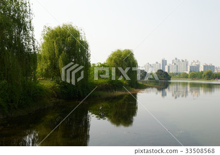 Lake Park, Ilsan, Goyang-si, Gyeonggi-do 33508568