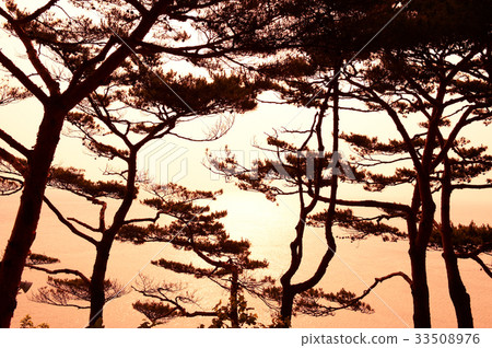 Hajwald, Yangyang-gun, Gangwon-do Hajwald, Yangyang-gun, Gangwon-do 33508976