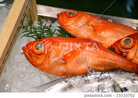 Red snapper 33510702