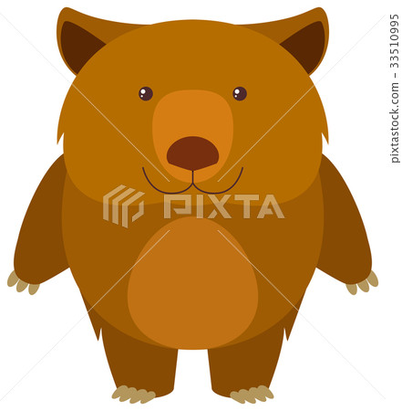 Wombat on white background - Stock Illustration [33510995] - PIXTA
