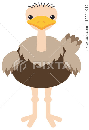 Fat ostrich on white background - Stock Illustration [33511012] - PIXTA