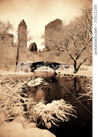 Central Park winter Central Park winter 33511105
