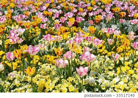 flower bed flower bed 33517140