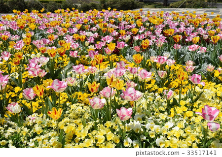 flower bed flower bed 33517141