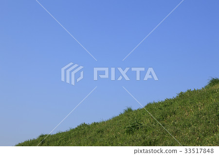 Meadow 33517848